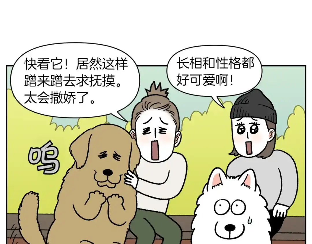 第87话狗的嫉妒-我的狗子叫棉花-milo+Polarfox（第8张）