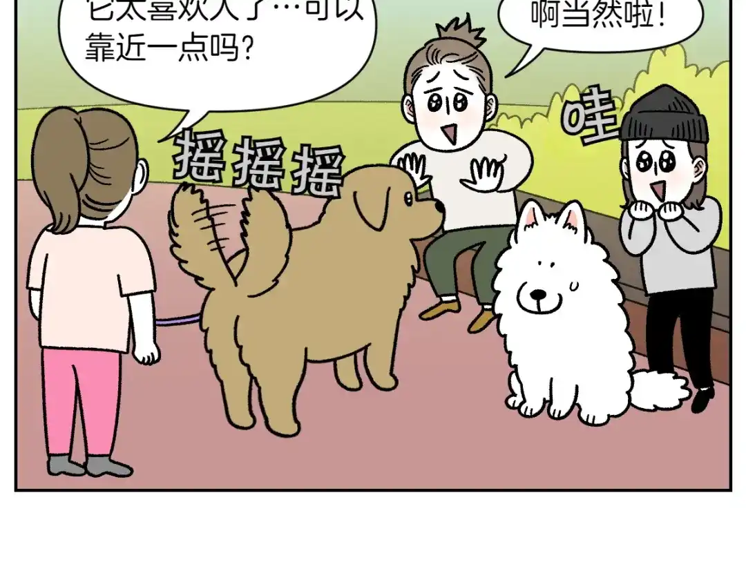 第87话狗的嫉妒-我的狗子叫棉花-milo+Polarfox（第7张）