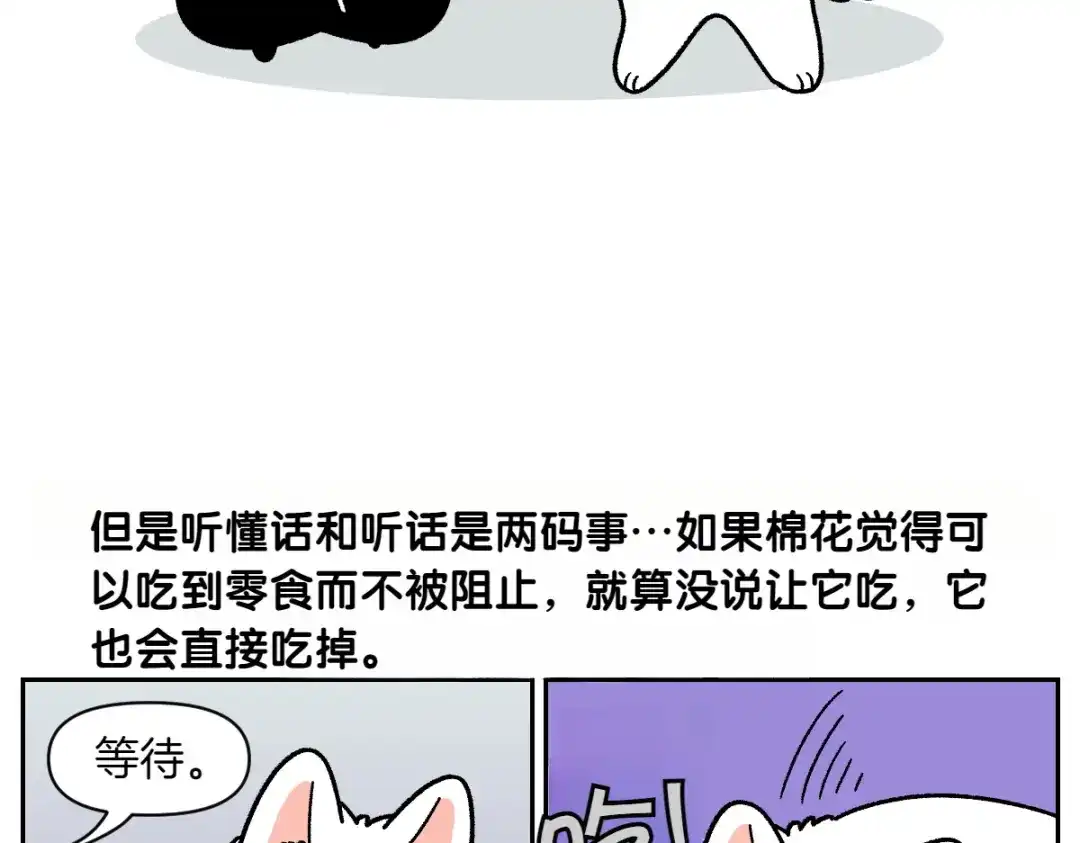 第89话棉花的个人技-我的狗子叫棉花-milo+Polarfox（第14张）