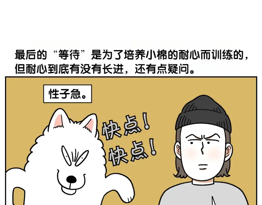 第89话棉花的个人技-我的狗子叫棉花-milo+Polarfox（第6张）