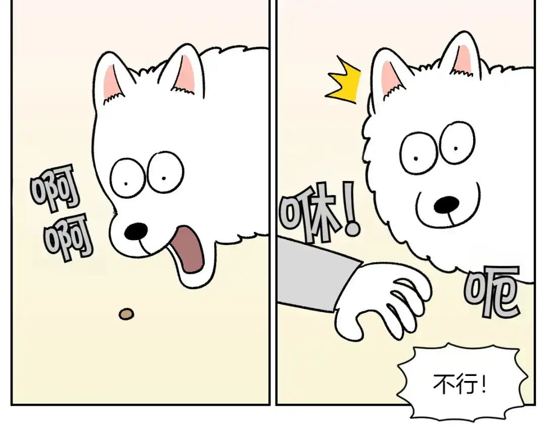 第89话棉花的个人技-我的狗子叫棉花-milo+Polarfox（第9张）
