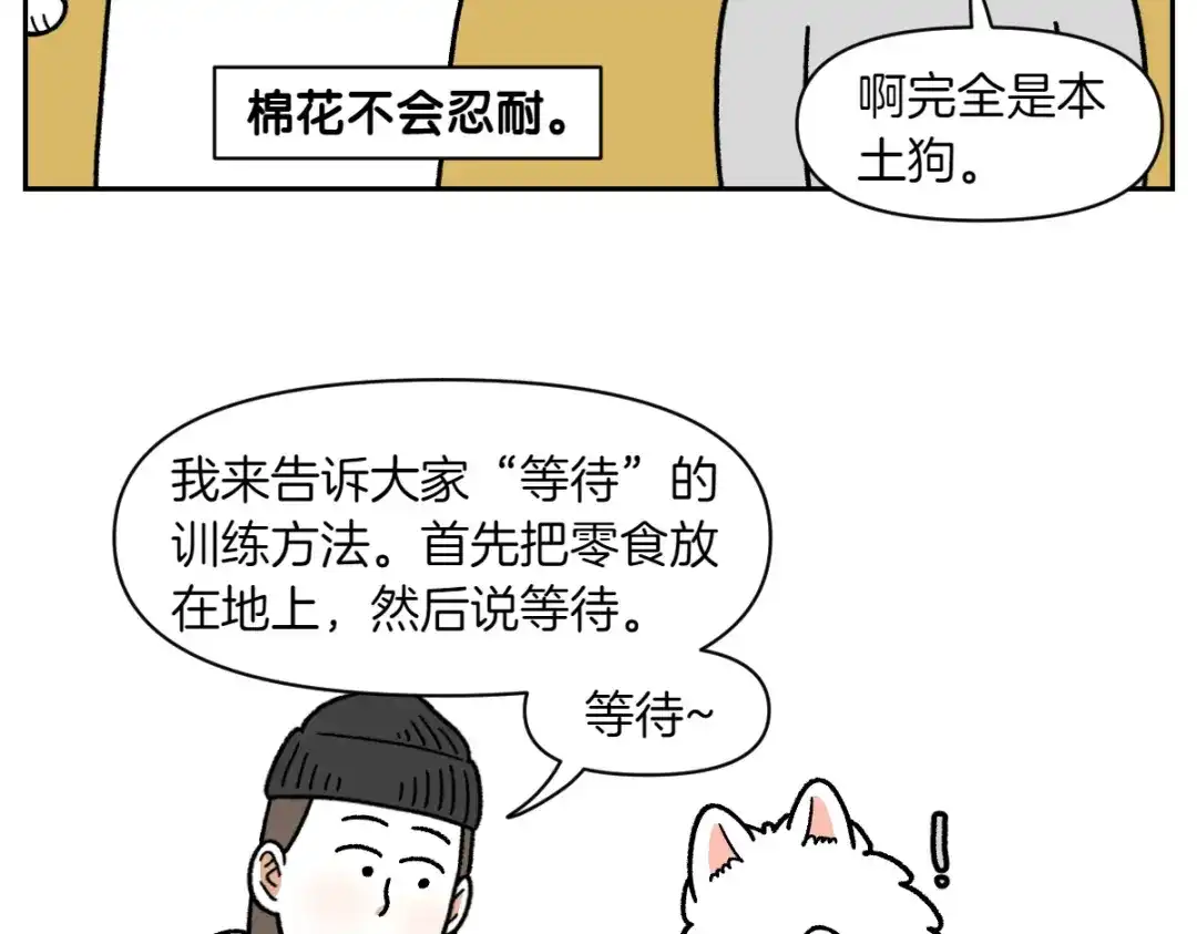 第89话棉花的个人技-我的狗子叫棉花-milo+Polarfox（第7张）