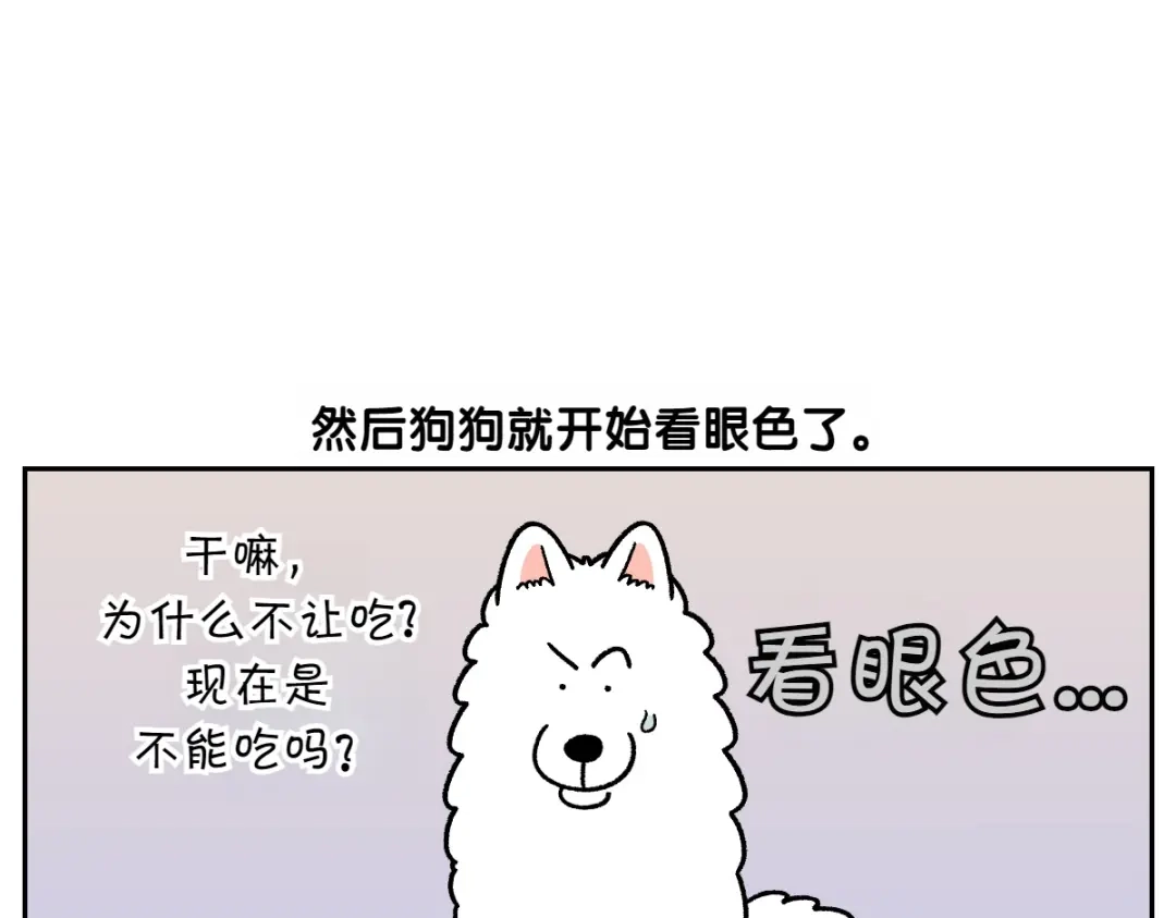 第89话棉花的个人技-我的狗子叫棉花-milo+Polarfox（第10张）
