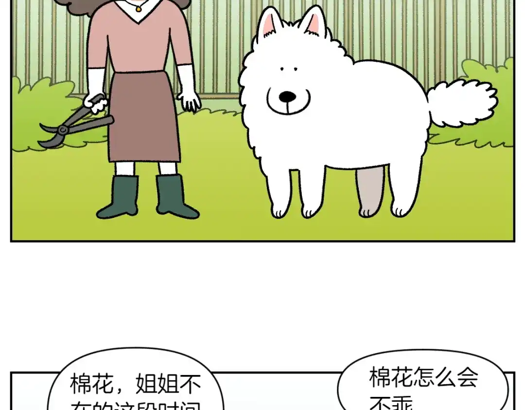第90话旅行和棉花-我的狗子叫棉花-milo+Polarfox（第6张）