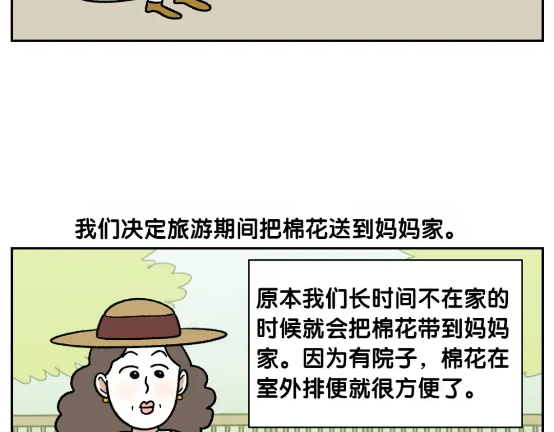 第90话旅行和棉花-我的狗子叫棉花-milo+Polarfox（第5张）