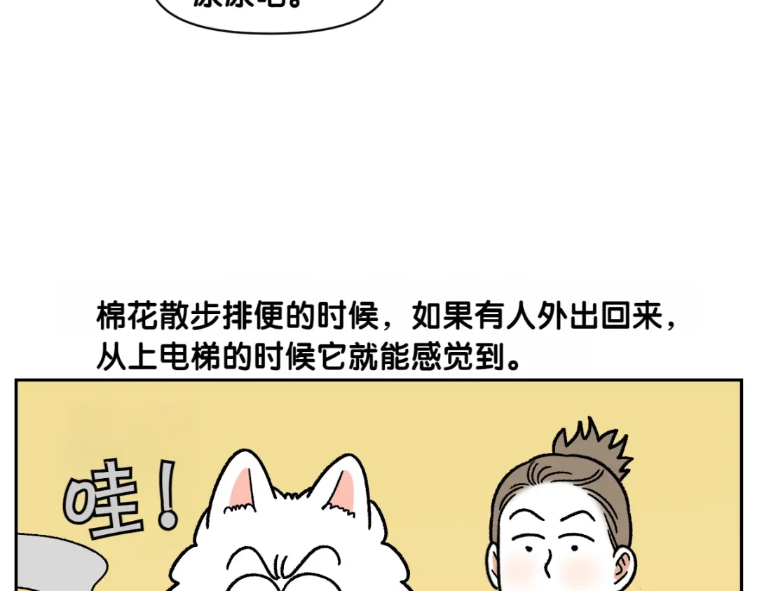 第91话阳台与狗-我的狗子叫棉花-milo+Polarfox（第8张）