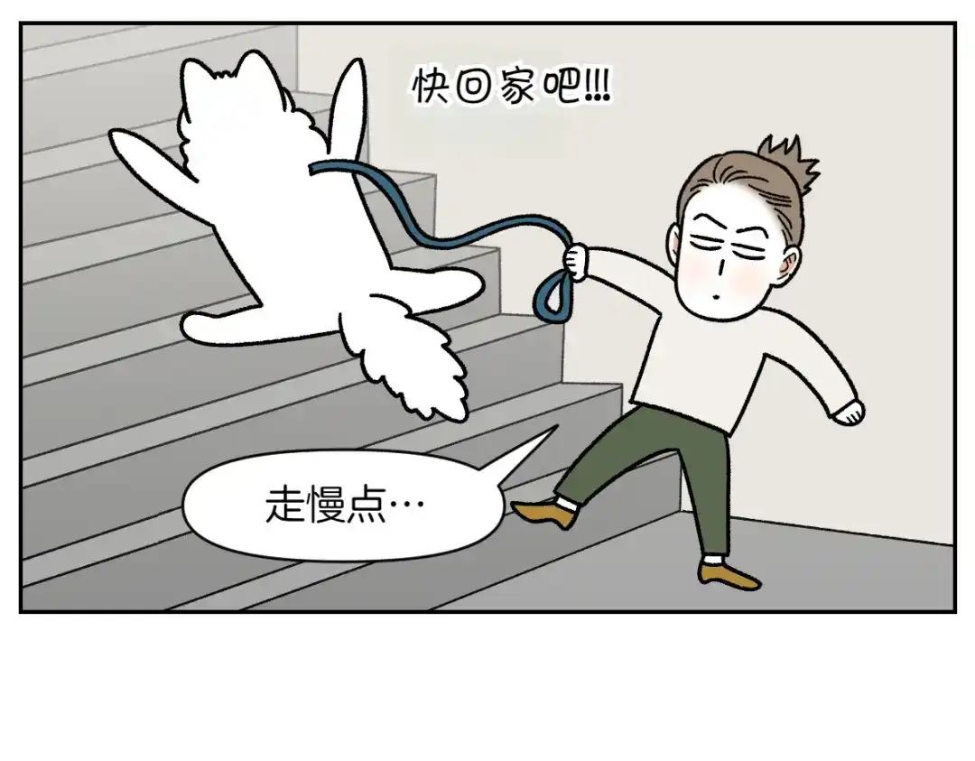 第91话阳台与狗-我的狗子叫棉花-milo+Polarfox（第10张）