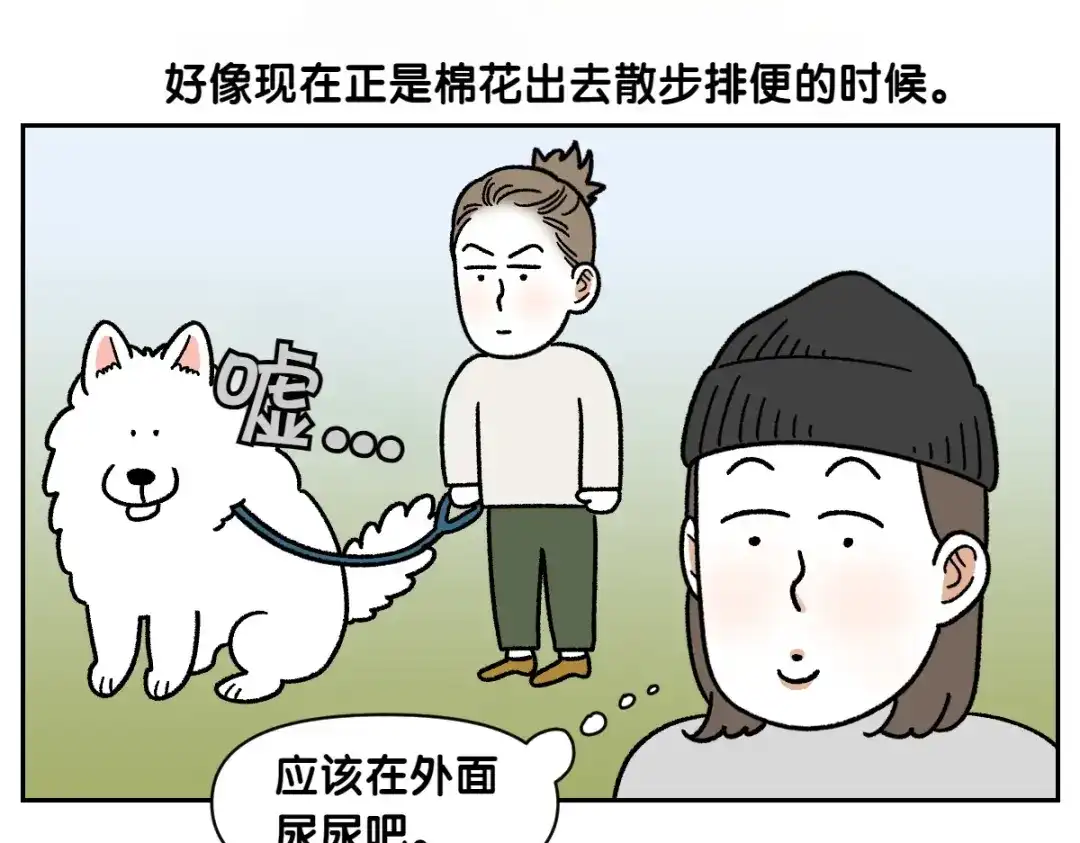 第91话阳台与狗-我的狗子叫棉花-milo+Polarfox（第7张）