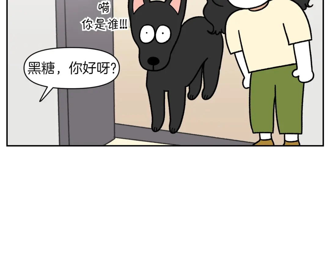 第94话名犬黑糖-我的狗子叫棉花-milo+Polarfox（第9张）