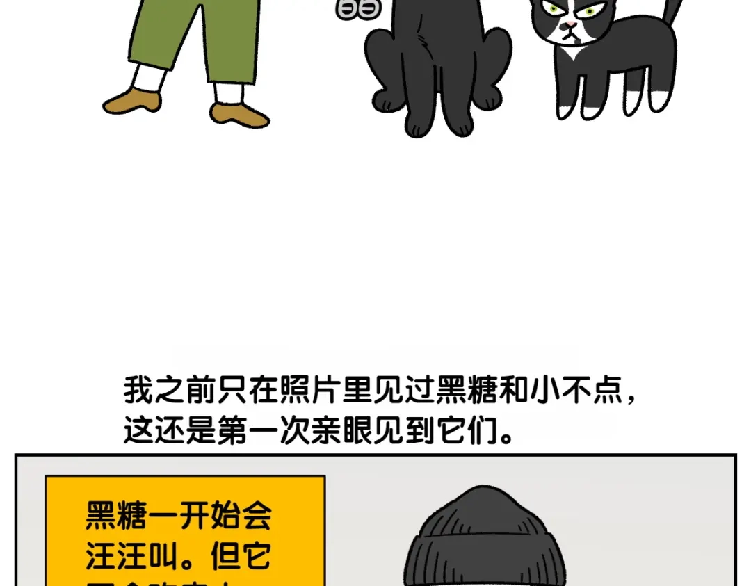 第94话名犬黑糖-我的狗子叫棉花-milo+Polarfox（第5张）