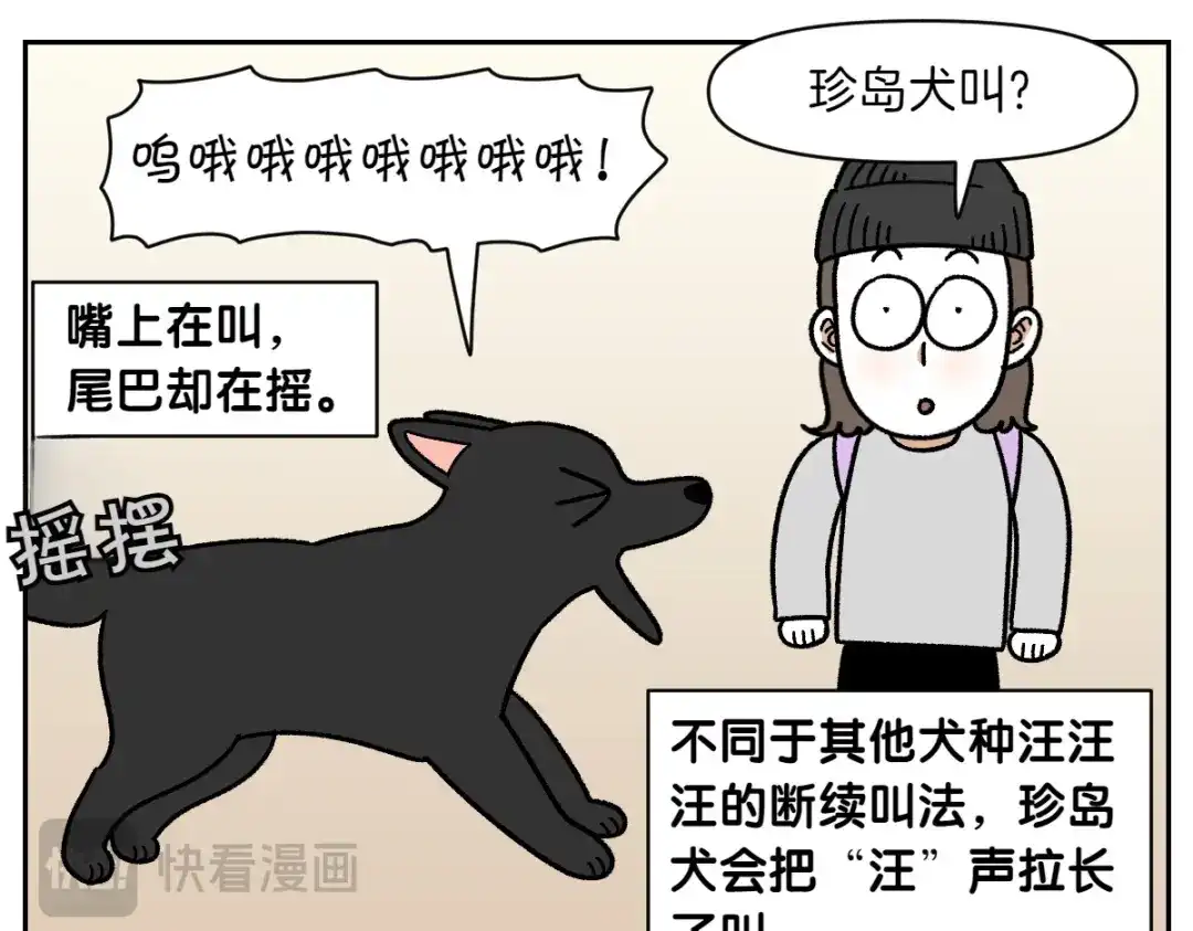 第94话名犬黑糖-我的狗子叫棉花-milo+Polarfox（第10张）