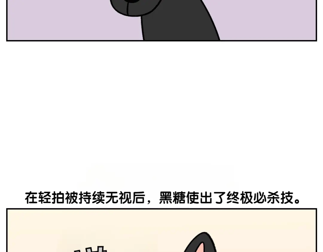 第95话宝宝公主-我的狗子叫棉花-milo+Polarfox（第6张）