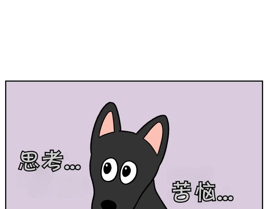 第95话宝宝公主-我的狗子叫棉花-milo+Polarfox（第5张）