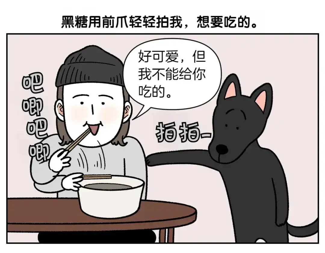 第95话宝宝公主-我的狗子叫棉花-milo+Polarfox（第4张）