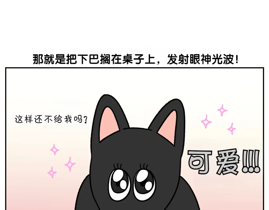 第95话宝宝公主-我的狗子叫棉花-milo+Polarfox（第8张）