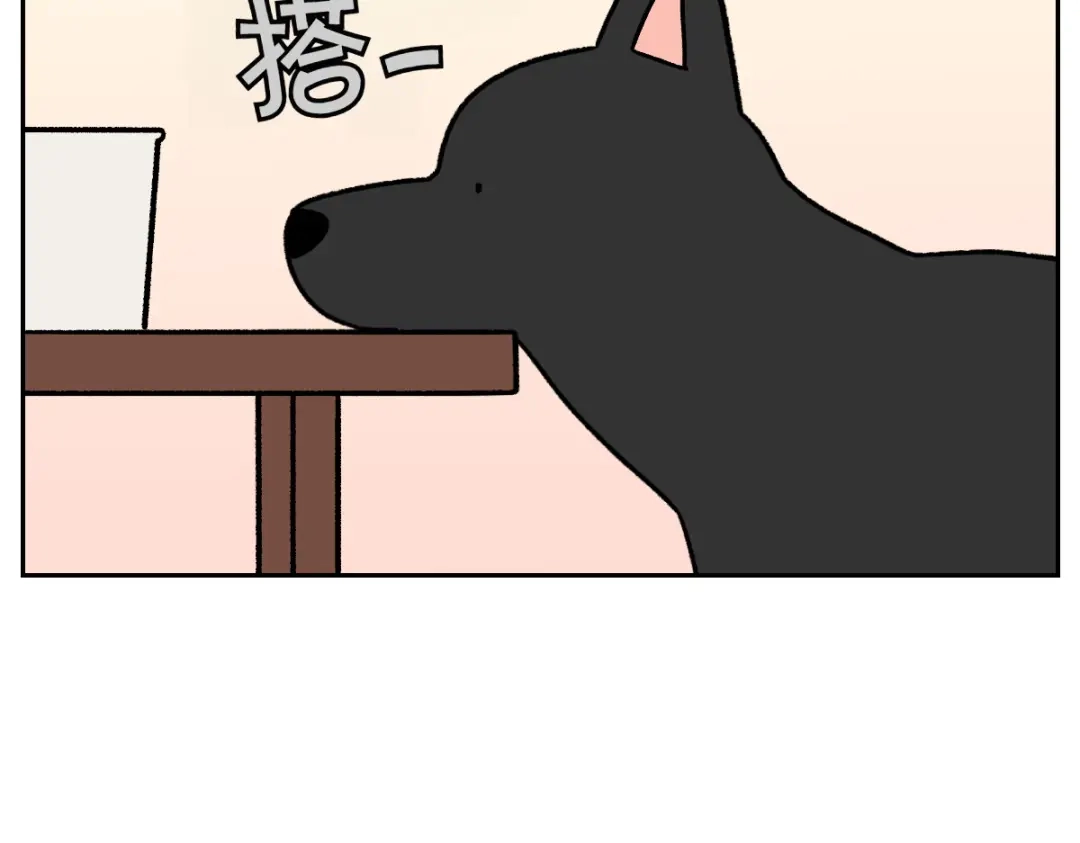 第95话宝宝公主-我的狗子叫棉花-milo+Polarfox（第7张）