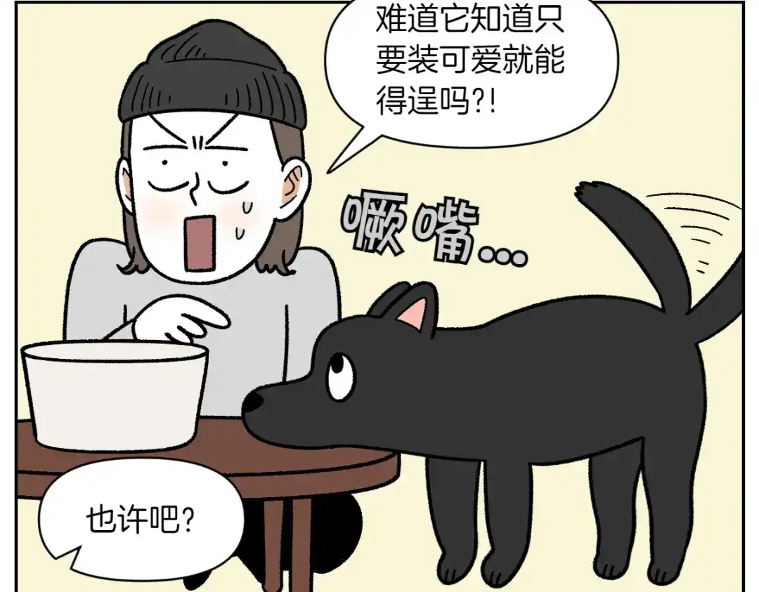 第95话宝宝公主-我的狗子叫棉花-milo+Polarfox（第10张）