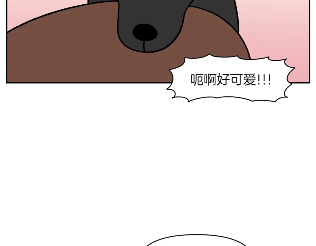 第95话宝宝公主-我的狗子叫棉花-milo+Polarfox（第9张）