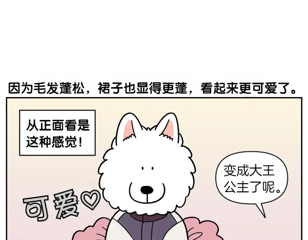 第96话公主狗狗-我的狗子叫棉花-milo+Polarfox（第8张）