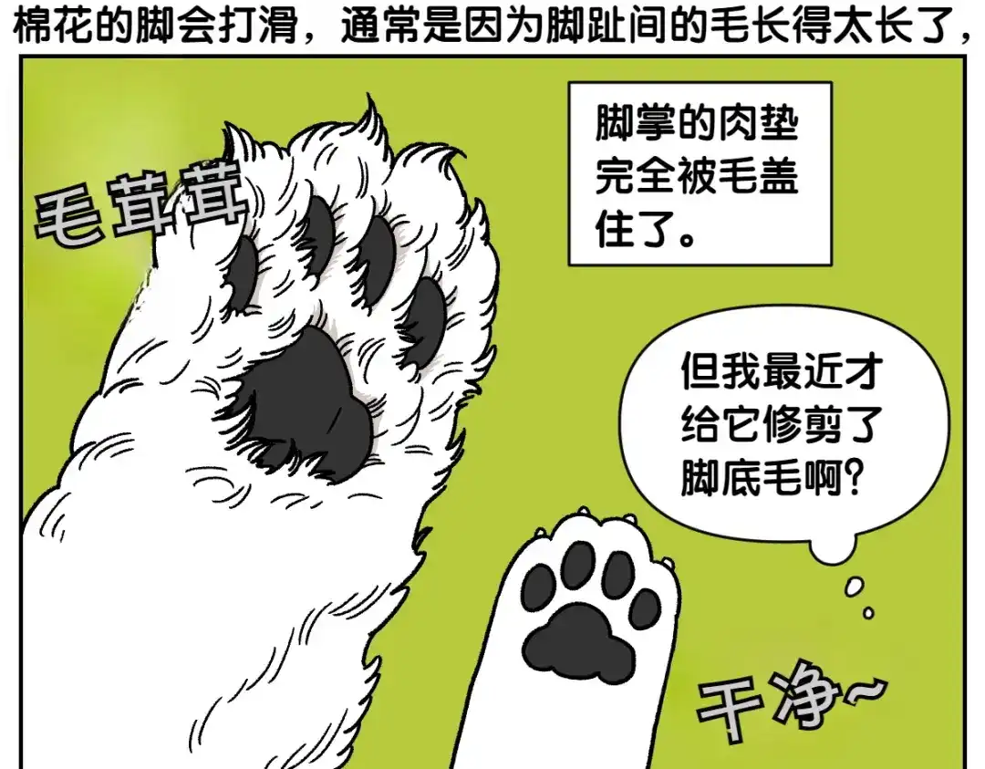 第97话脚底保湿护理-我的狗子叫棉花-milo+Polarfox（第15张）