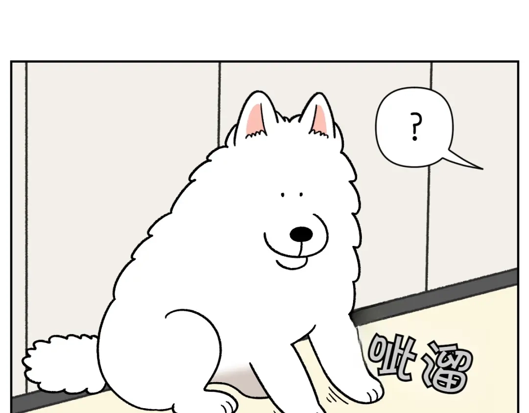 第97话脚底保湿护理-我的狗子叫棉花-milo+Polarfox（第7张）