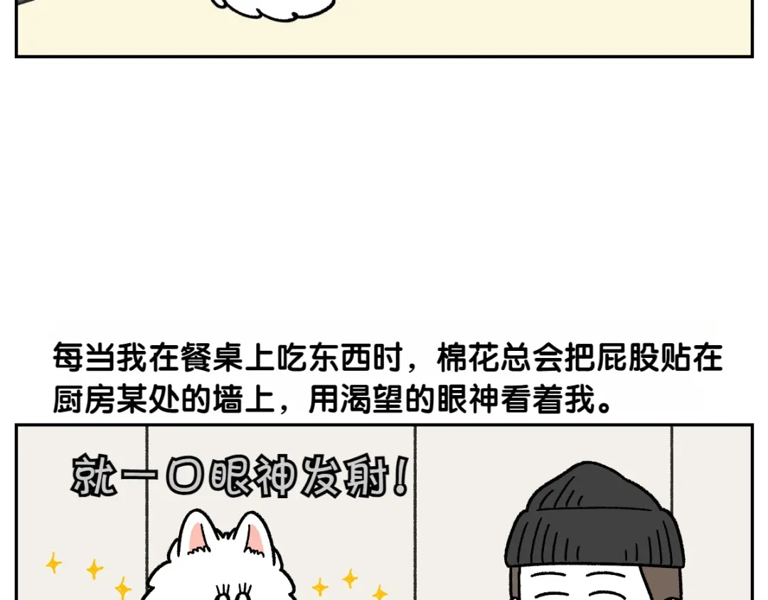 第97话脚底保湿护理-我的狗子叫棉花-milo+Polarfox（第5张）