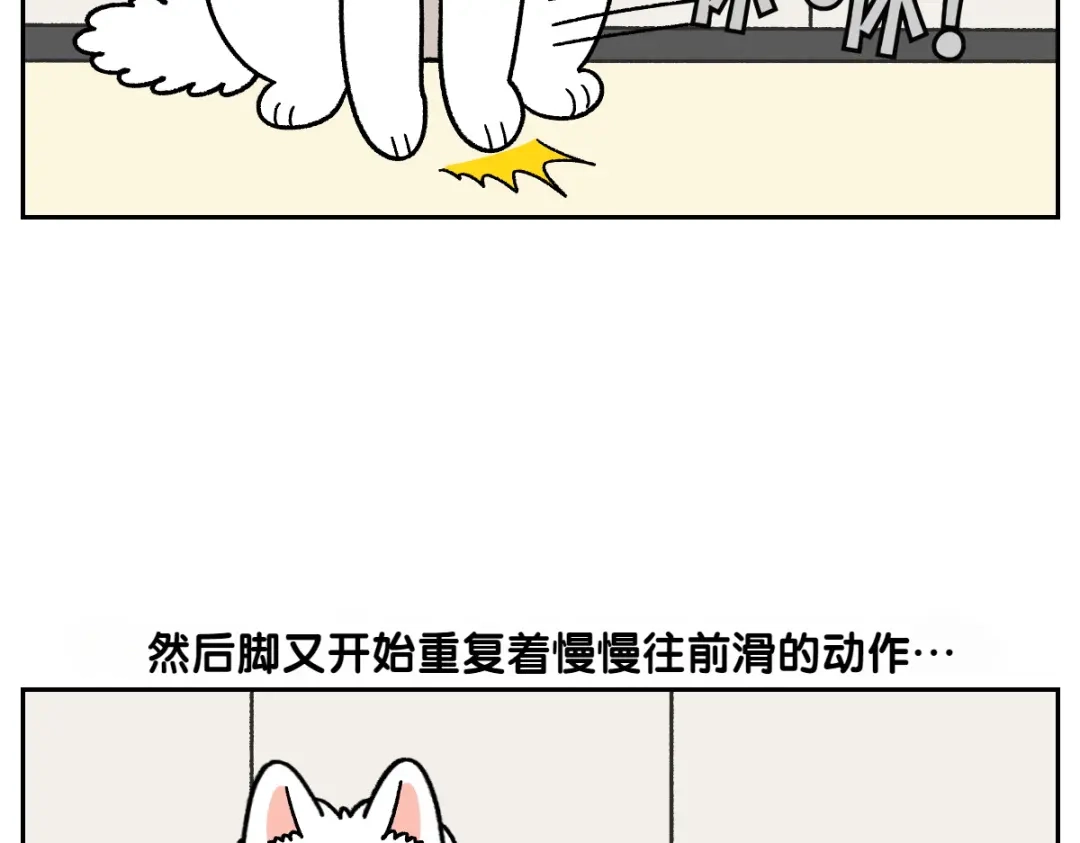 第97话脚底保湿护理-我的狗子叫棉花-milo+Polarfox（第11张）
