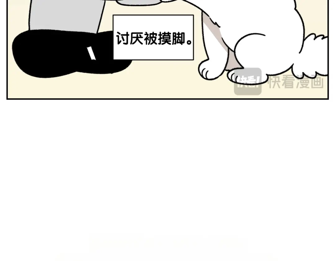 第97话脚底保湿护理-我的狗子叫棉花-milo+Polarfox（第14张）