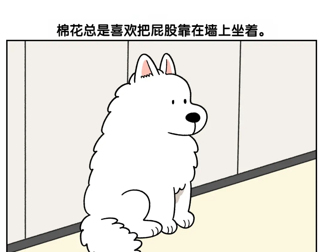 第97话脚底保湿护理-我的狗子叫棉花-milo+Polarfox（第4张）