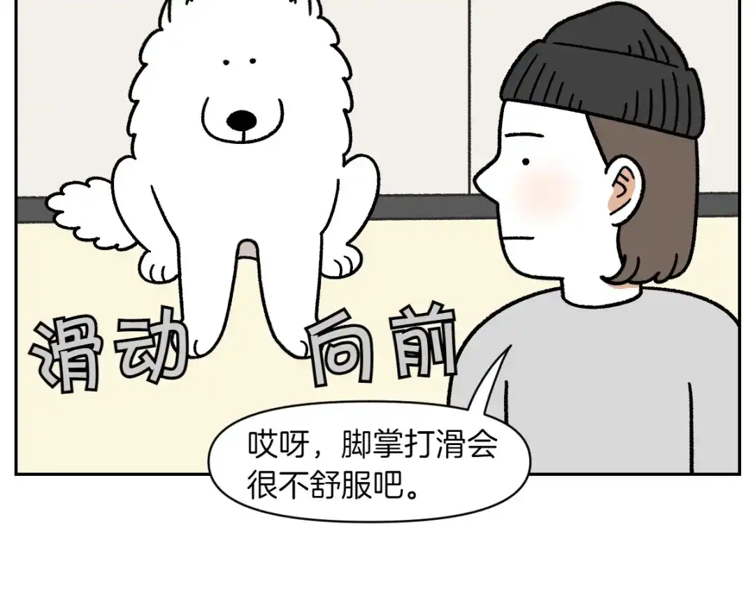 第97话脚底保湿护理-我的狗子叫棉花-milo+Polarfox（第12张）