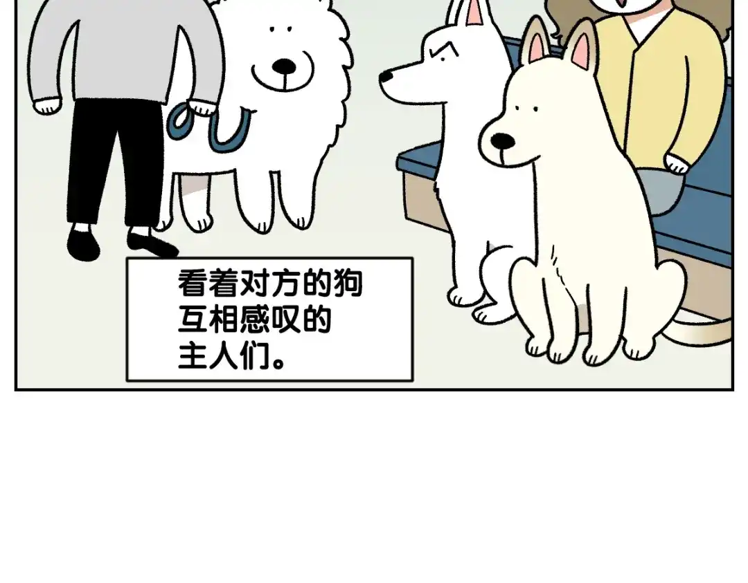 第98话在医院里遇到的朋友们-我的狗子叫棉花-milo+Polarfox（第6张）