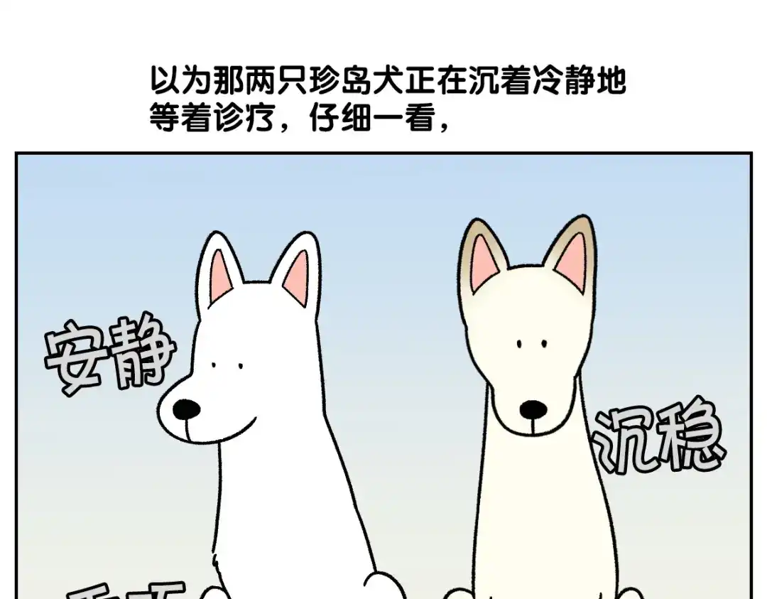 第98话在医院里遇到的朋友们-我的狗子叫棉花-milo+Polarfox（第7张）
