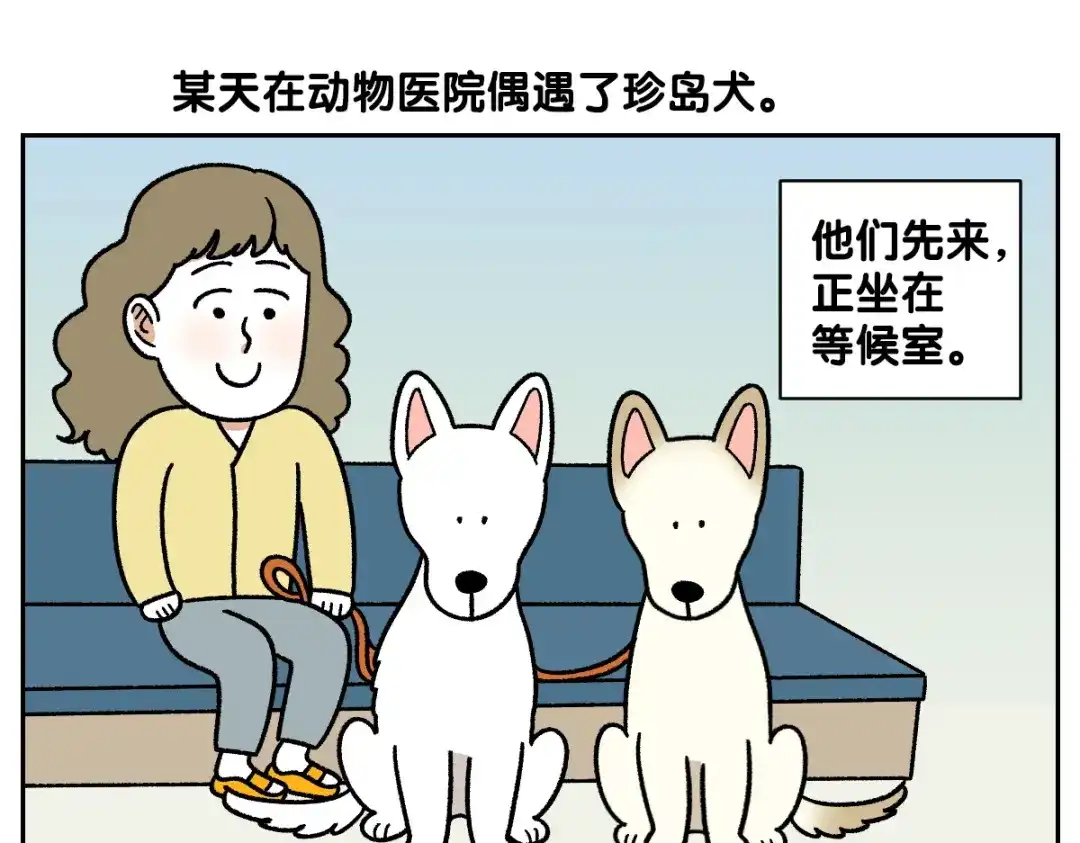 第98话在医院里遇到的朋友们-我的狗子叫棉花-milo+Polarfox（第4张）