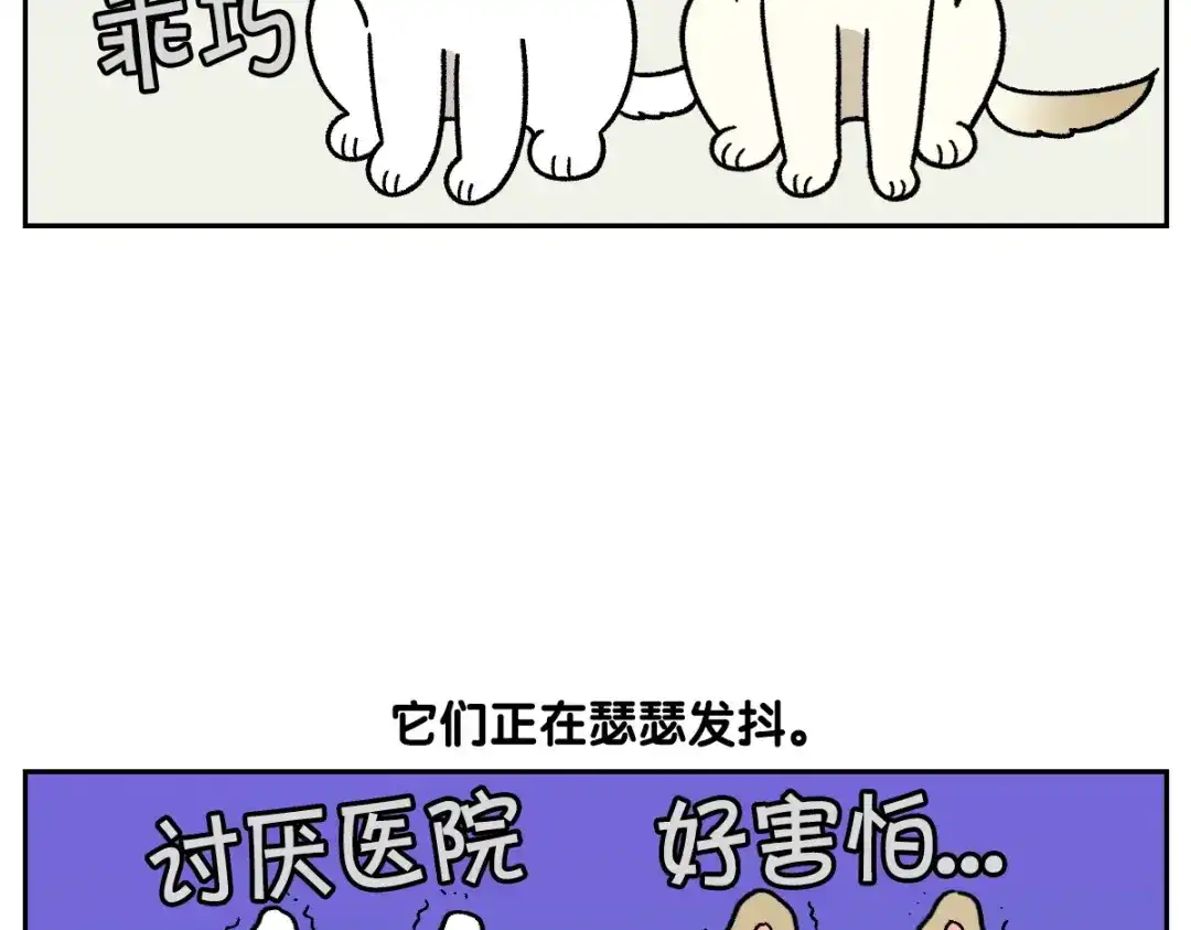 第98话在医院里遇到的朋友们-我的狗子叫棉花-milo+Polarfox（第8张）