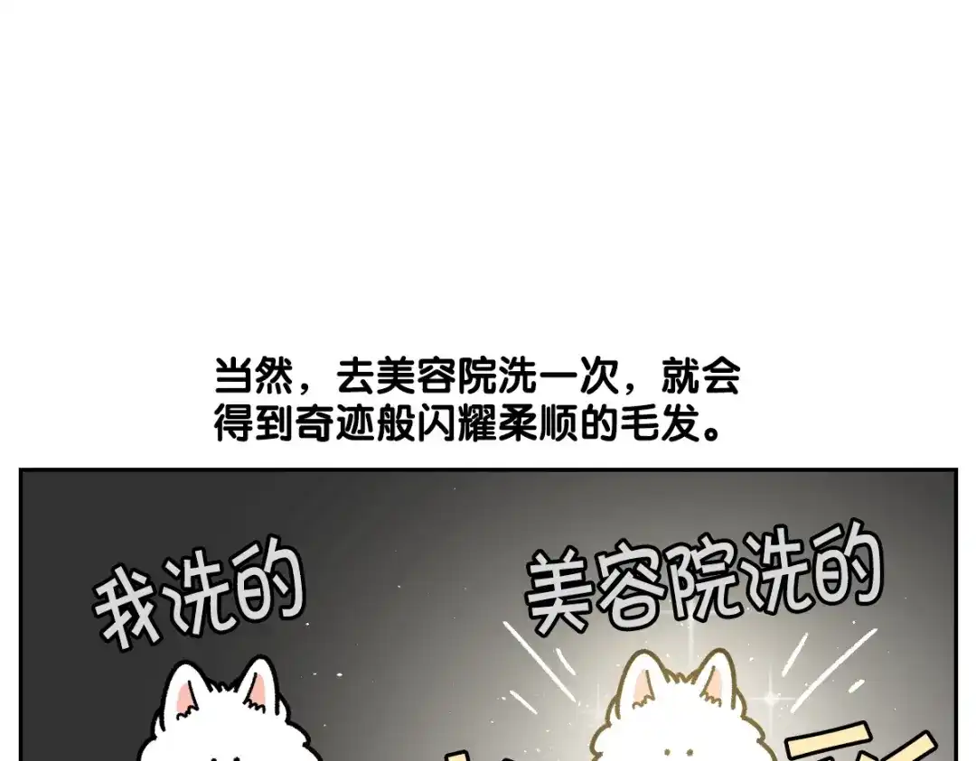 第99话探访自助洗浴-我的狗子叫棉花-milo+Polarfox（第10张）