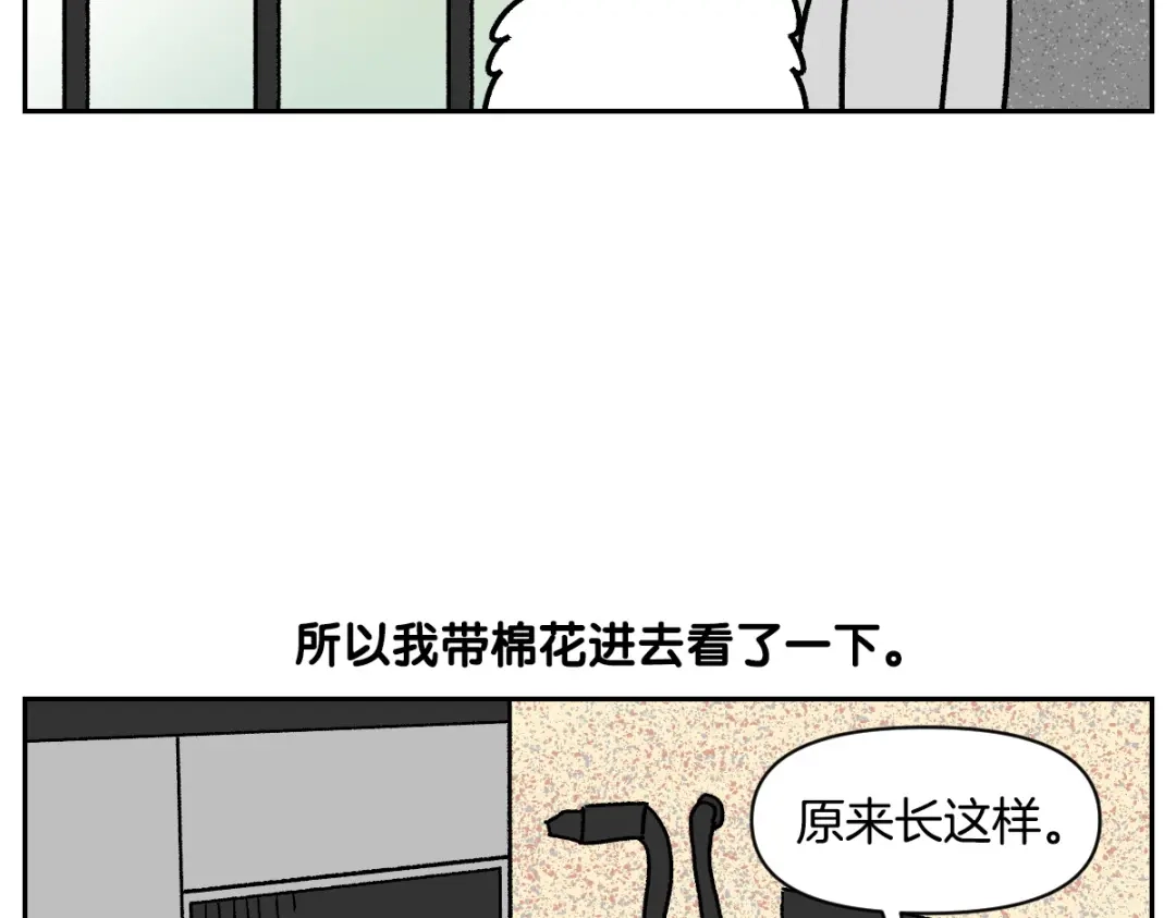 第99话探访自助洗浴-我的狗子叫棉花-milo+Polarfox（第5张）