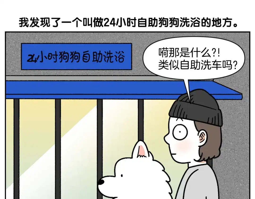 第99话探访自助洗浴-我的狗子叫棉花-milo+Polarfox（第4张）