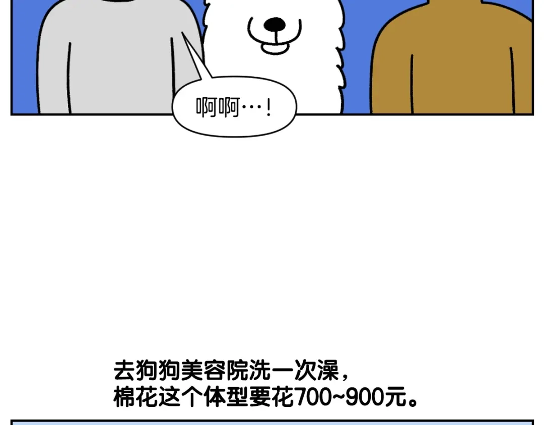 第99话探访自助洗浴-我的狗子叫棉花-milo+Polarfox（第8张）