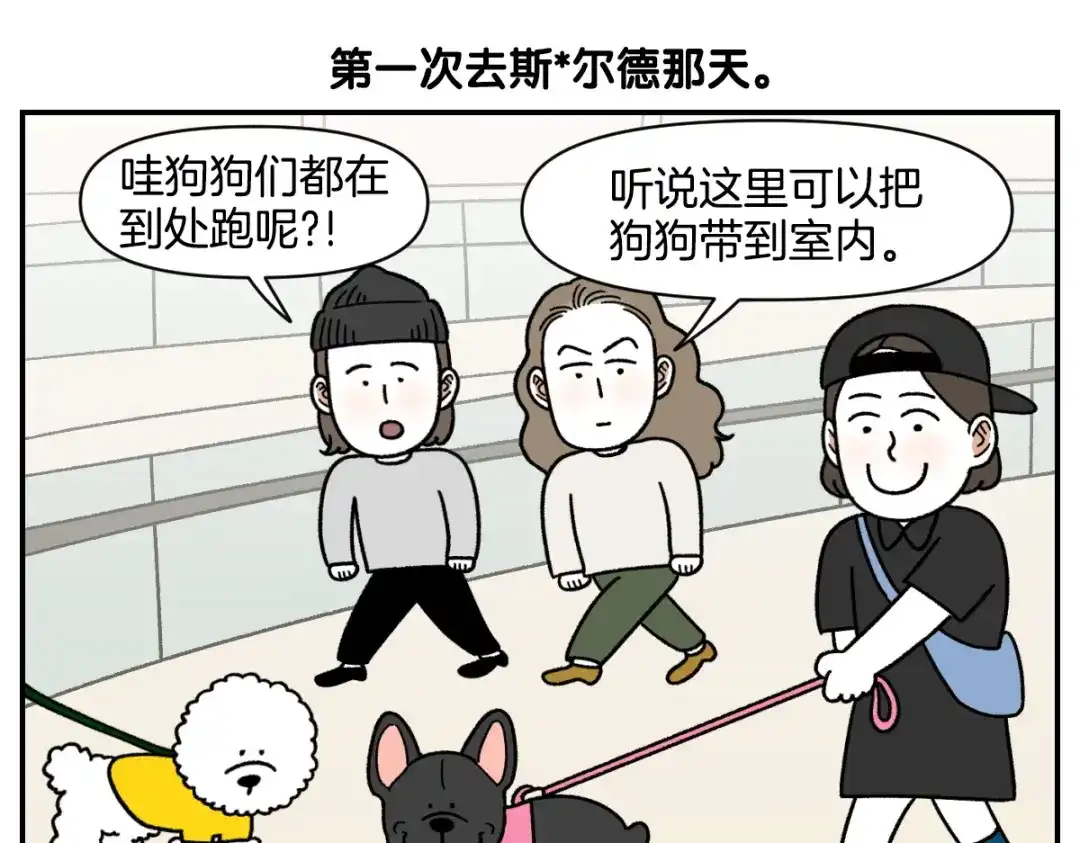 第100话宠物推车-我的狗子叫棉花-milo+Polarfox（第4张）
