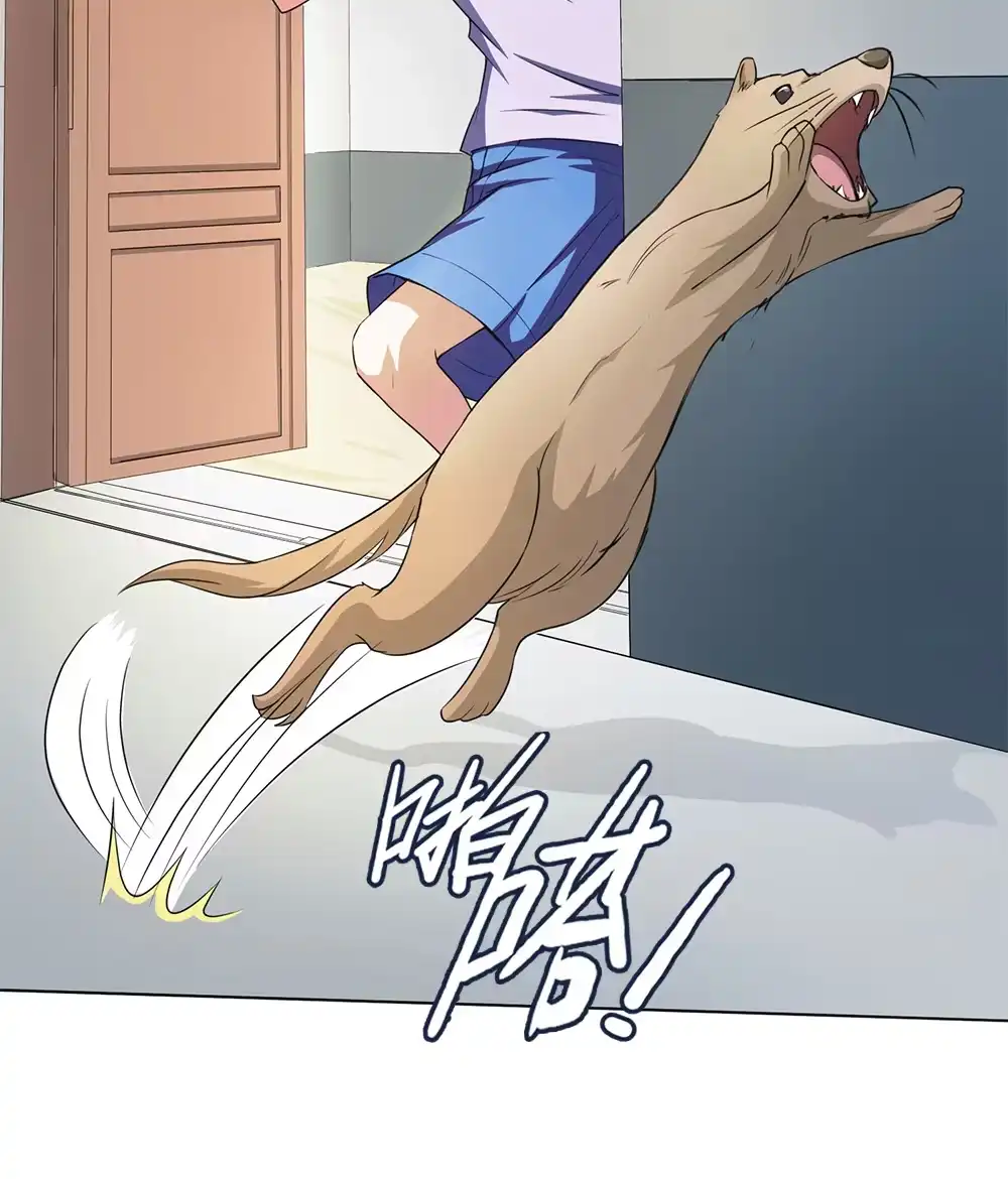 第57话黄皮子上门-我的灵界女友们--冬漫社-（第3张）