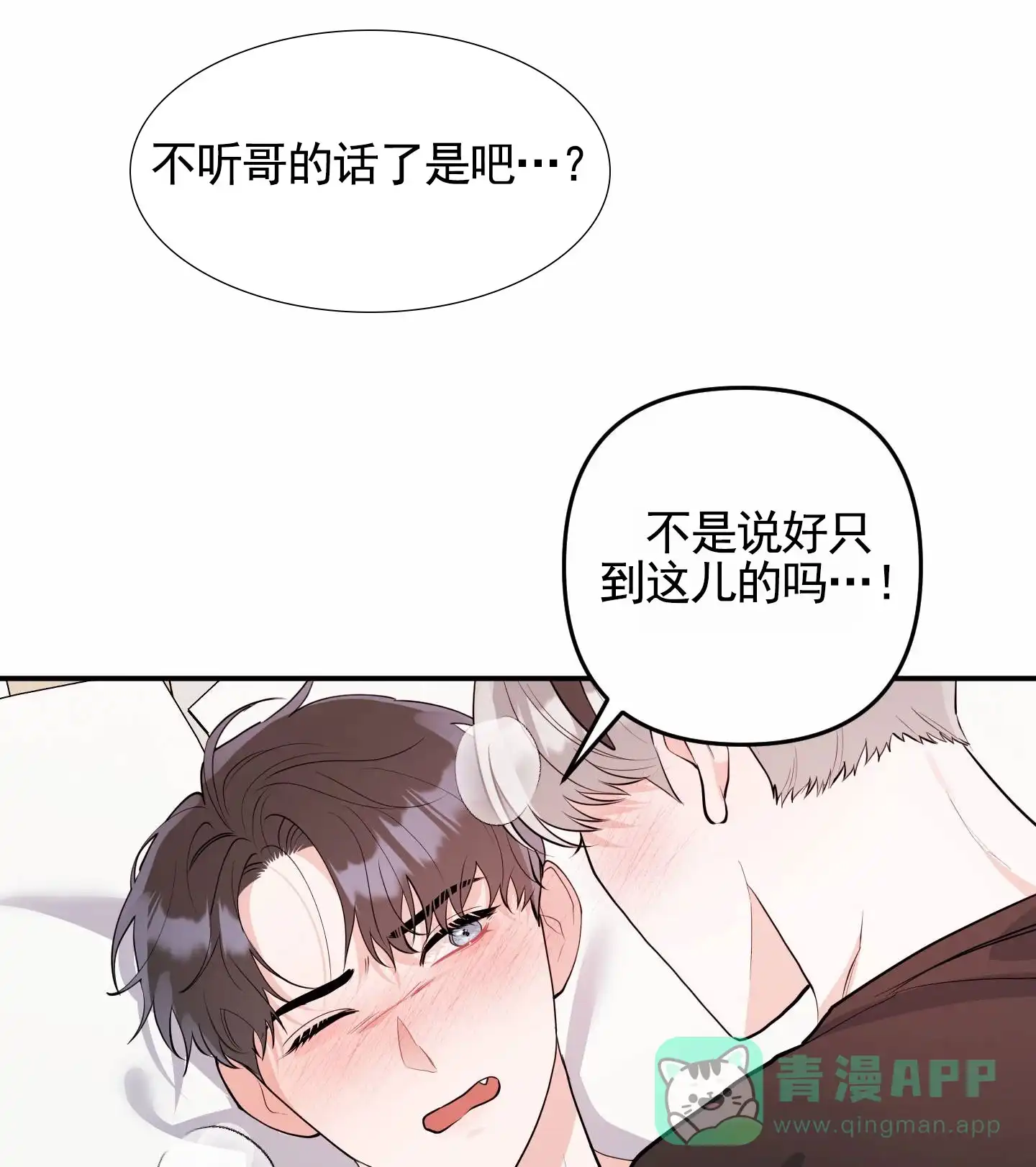 第13话-我的猫系男友-xnn（第1张）