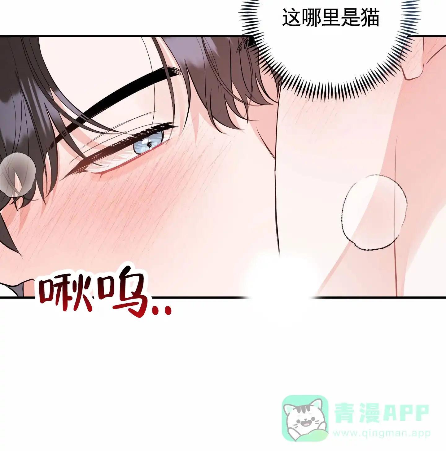 第13话-我的猫系男友-xnn（第6张）
