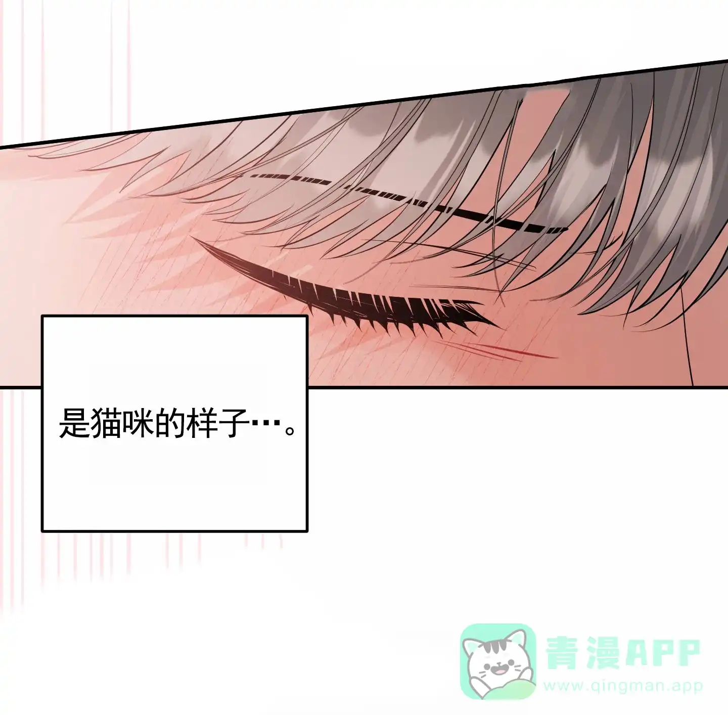 第8话-我的猫系男友-xnn（第11张）