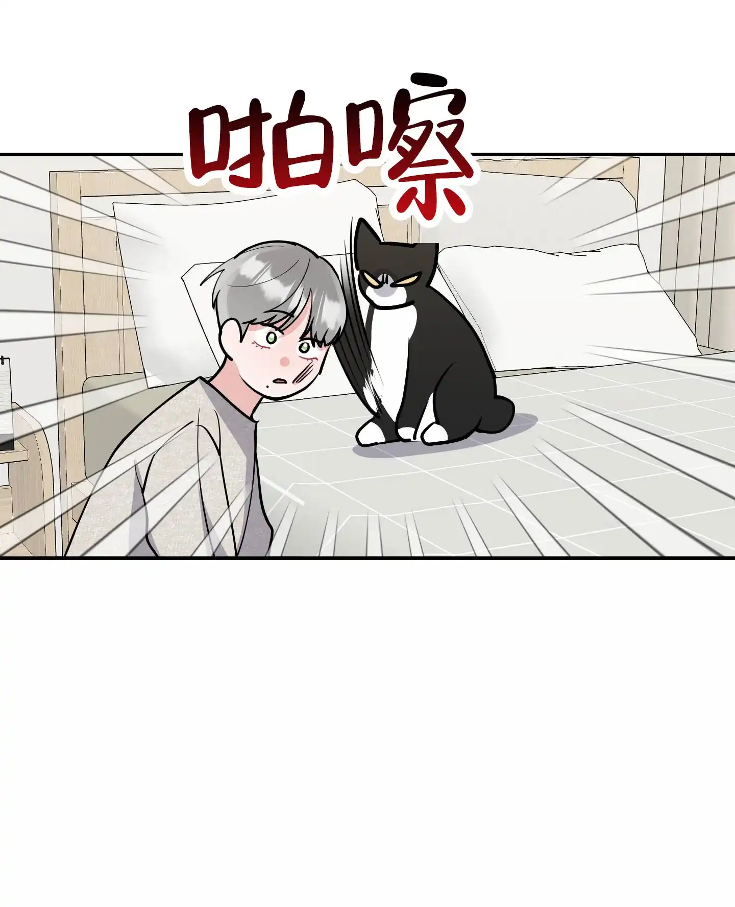 第8话-我的猫系男友-xnn（第3张）