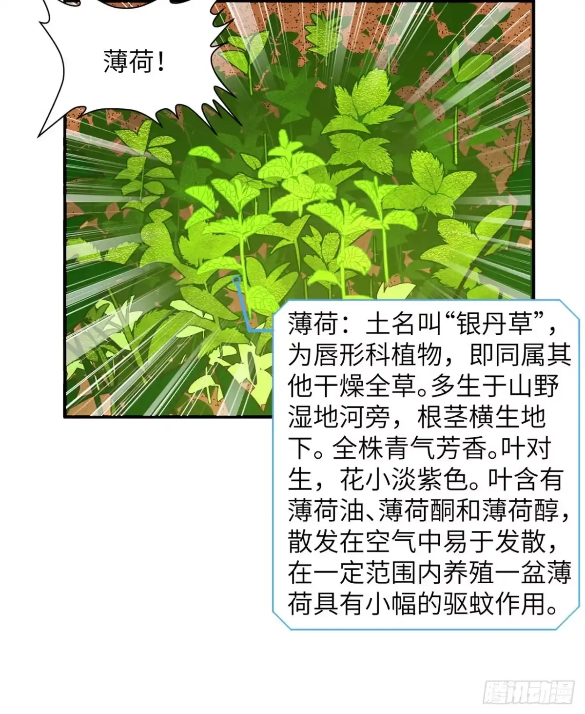 009椰子蟹-我和妹子们的荒岛余生-青葶动漫（第8张）