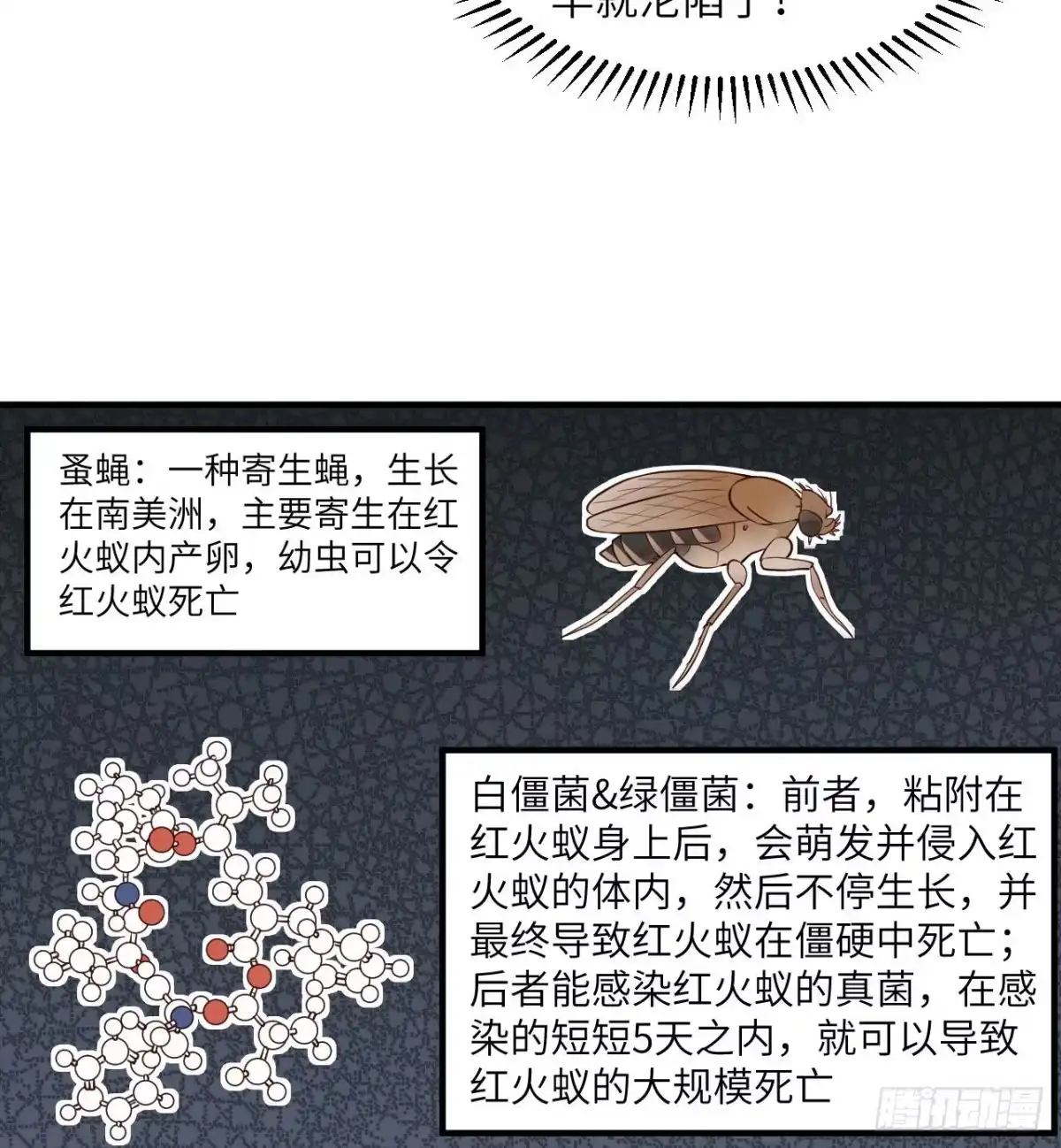 167祸福相依-我和妹子们的荒岛余生-青葶动漫（第4张）