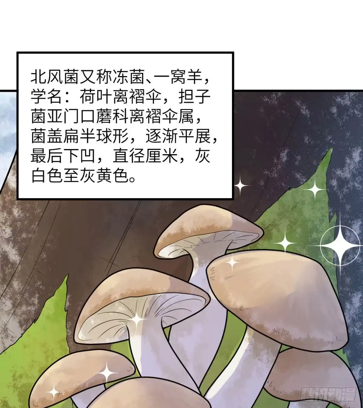 226冻菌汤-我和妹子们的荒岛余生-青葶动漫（第1张）
