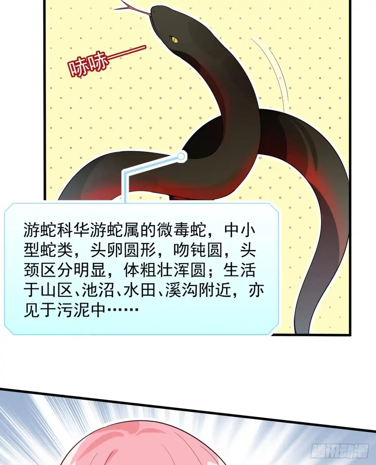 002燃起篝火-我和妹子们的荒岛余生-青葶动漫（第6张）