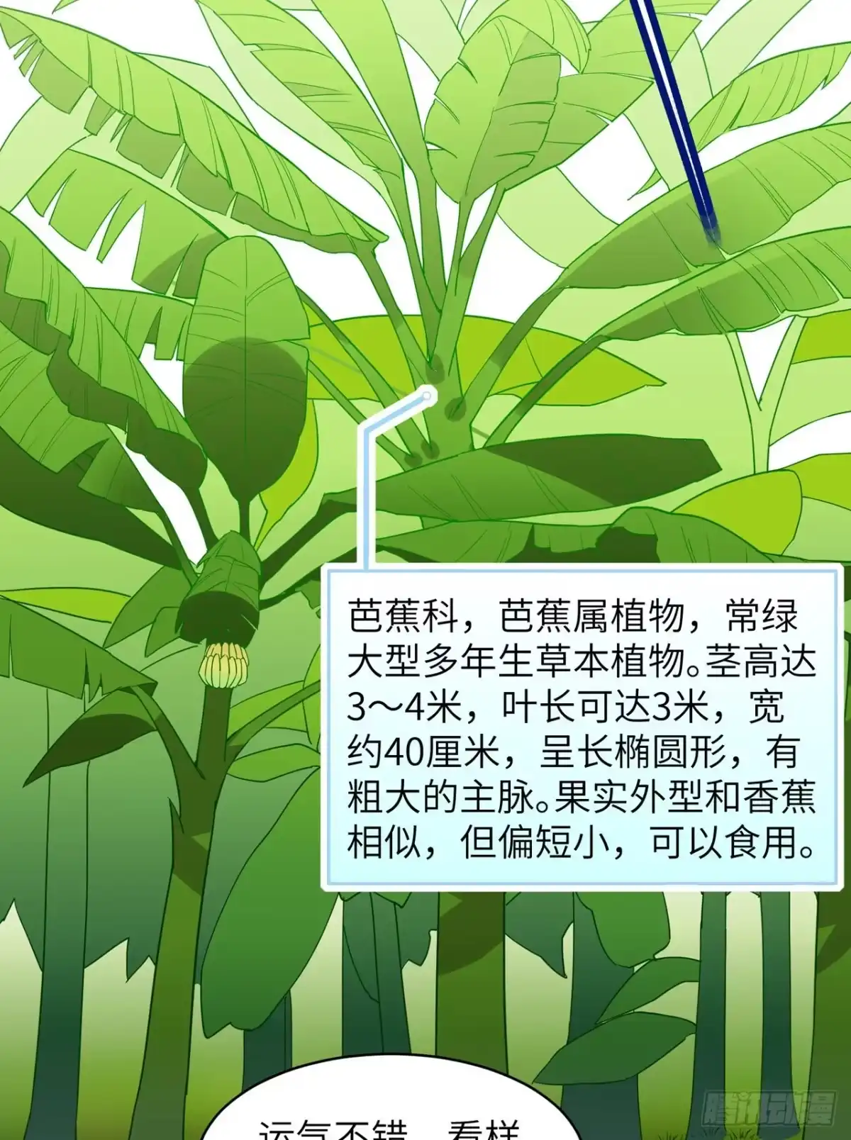 008制作捕鱼陷阱-我和妹子们的荒岛余生-青葶动漫（第2张）