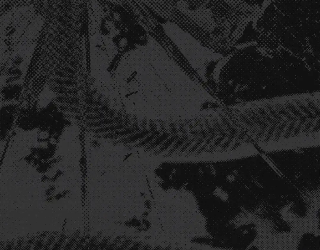 第120话入宫-我在死敌家当团宠-kwvh+Lee Euntak+Lee hyun-sung+Tomato Studio（第3张）